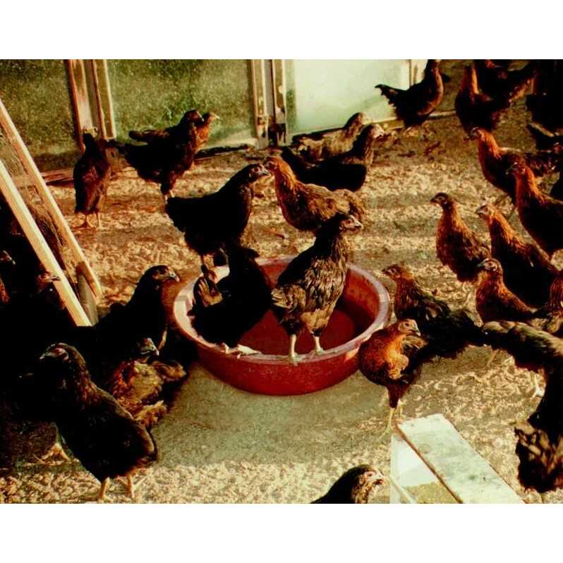 Tuff Stuff Products Tuff Stuff Heavy Duty 15 Gallon Round Water, Feed, or Storage Tank Tub - Image 4