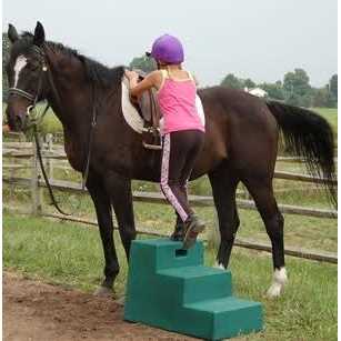 Horsemens Pride 3 Step Mounting Block - Image 5