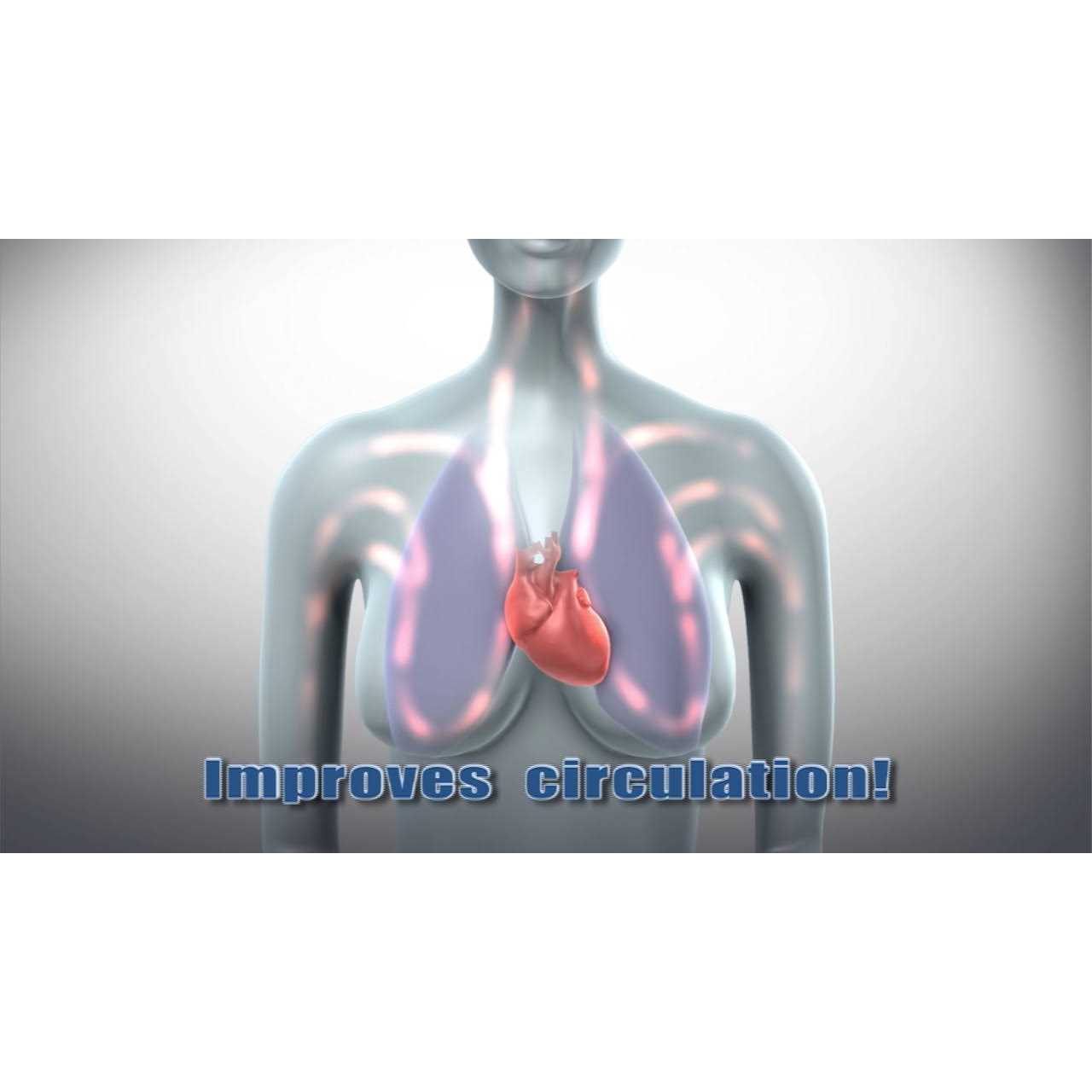 The Original LegXercise - Image 3