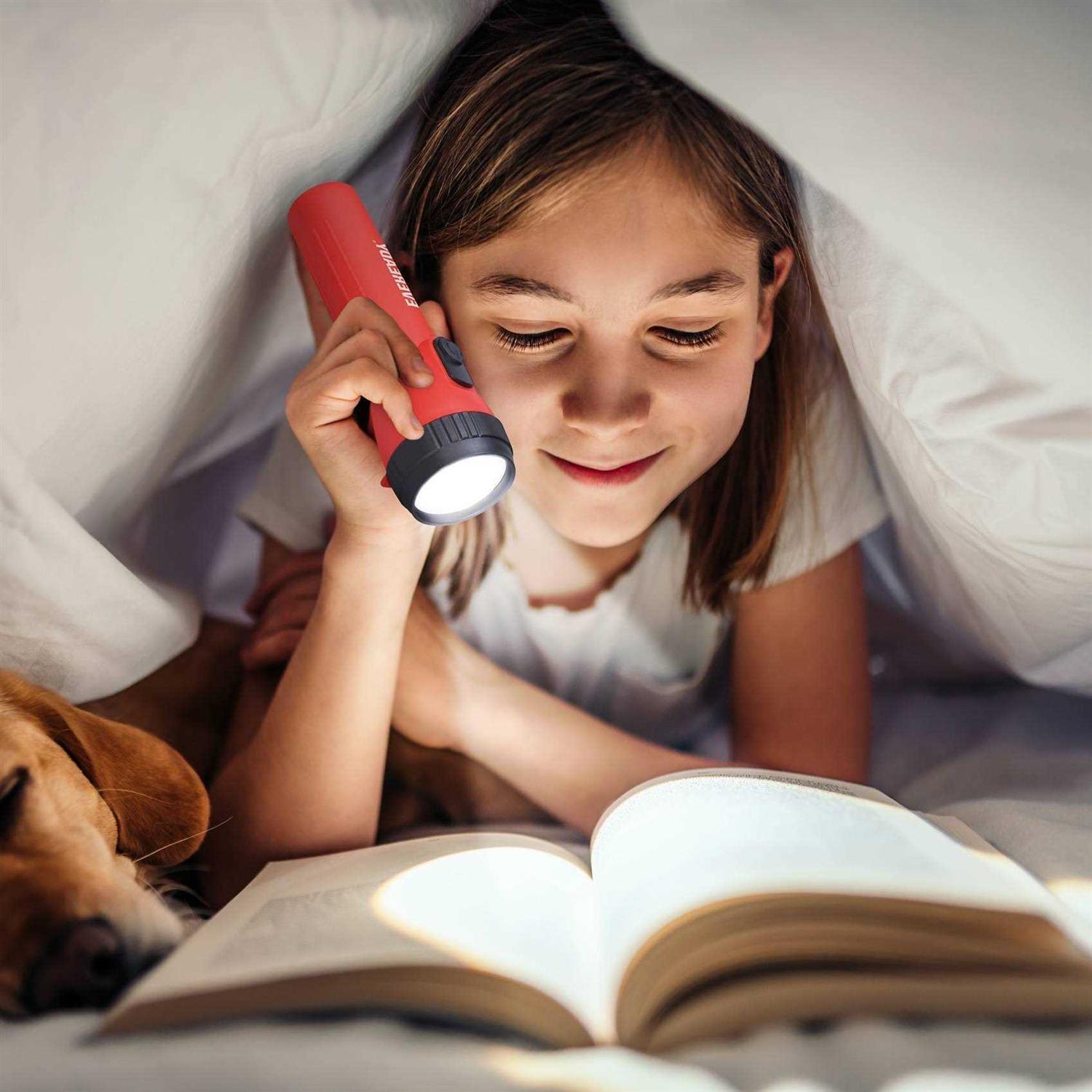 Eveready LED Flashlight - Image 2