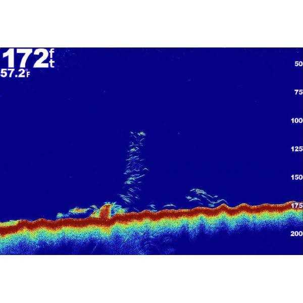Garmin GT10HN-IF Ice Fishing Transducer - Image 5