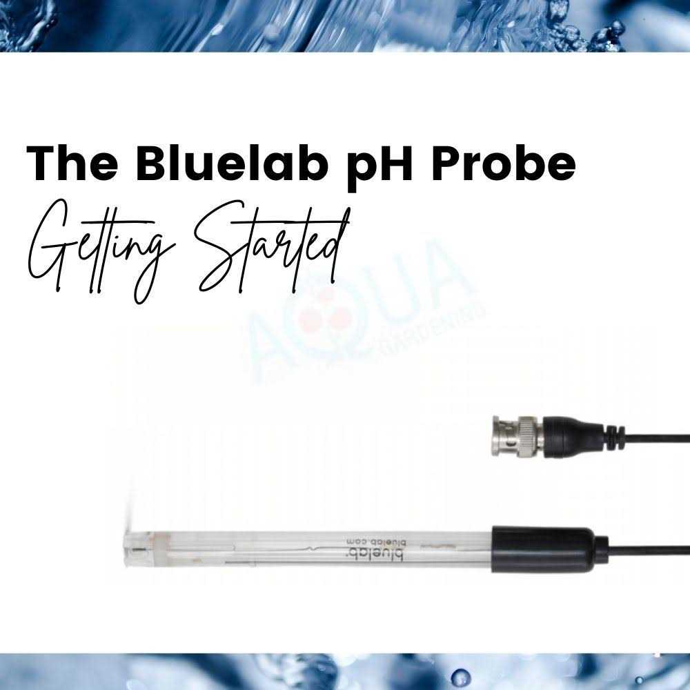 Bluelab Replacement pH Probe - Image 5