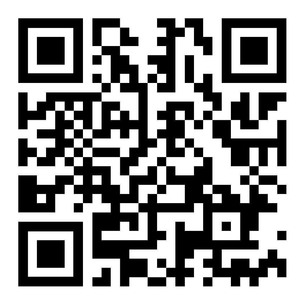 Stromberg Carlson Interior Bunk Ladder - Image 4