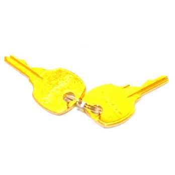 Honeywell 191990A Set Of 2 Replacement Keys For TG509 - Image 4