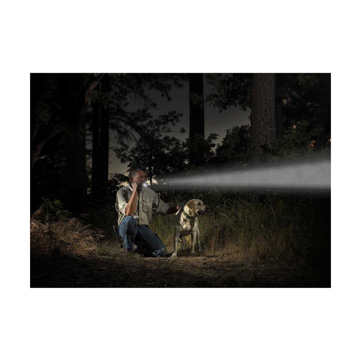 Maglite ML25LT 2C - Image 4