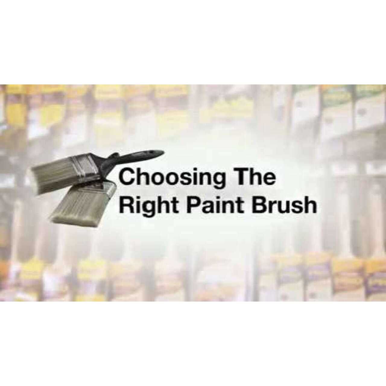 Wooster Bravo Stainer 5-1/2 in. Bristle Brush 0F51190054 - Image 2