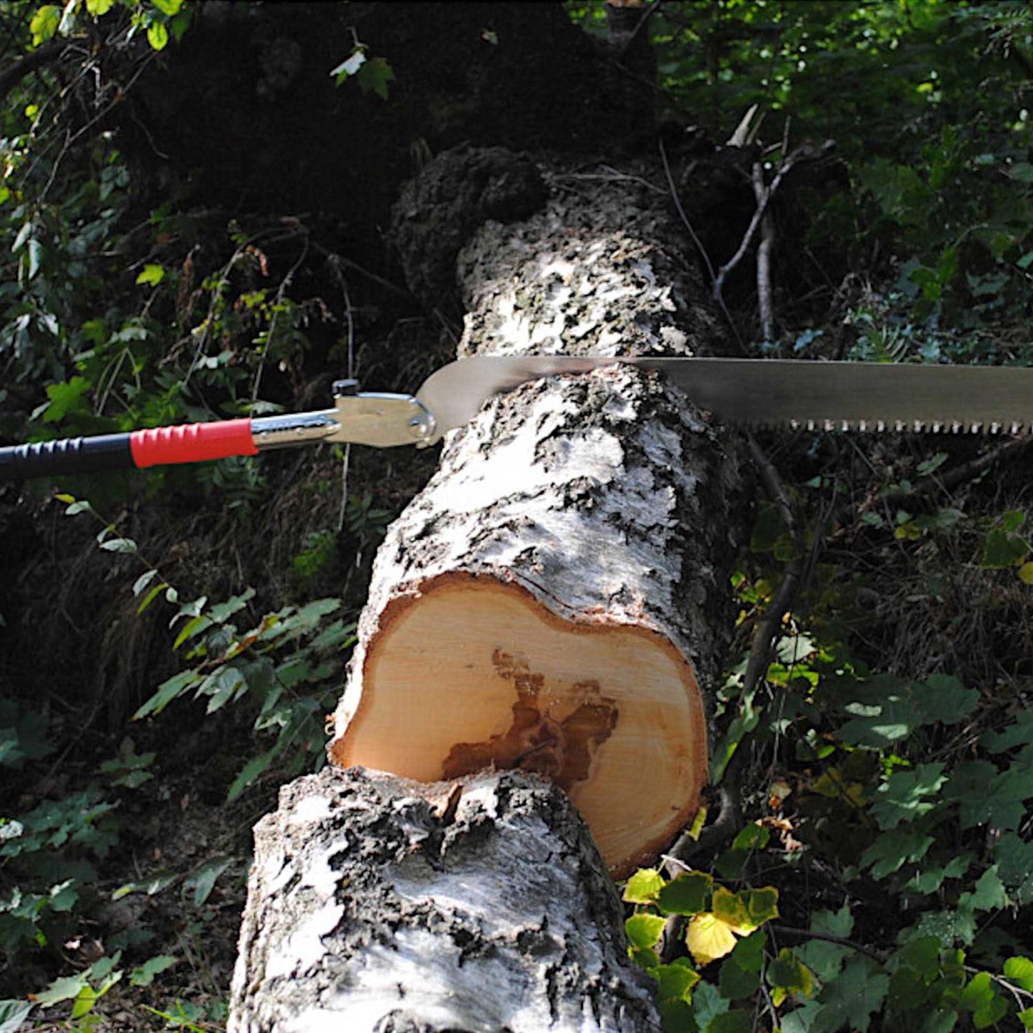 Silky Katanaboy 500mm Folding Saw - Image 5