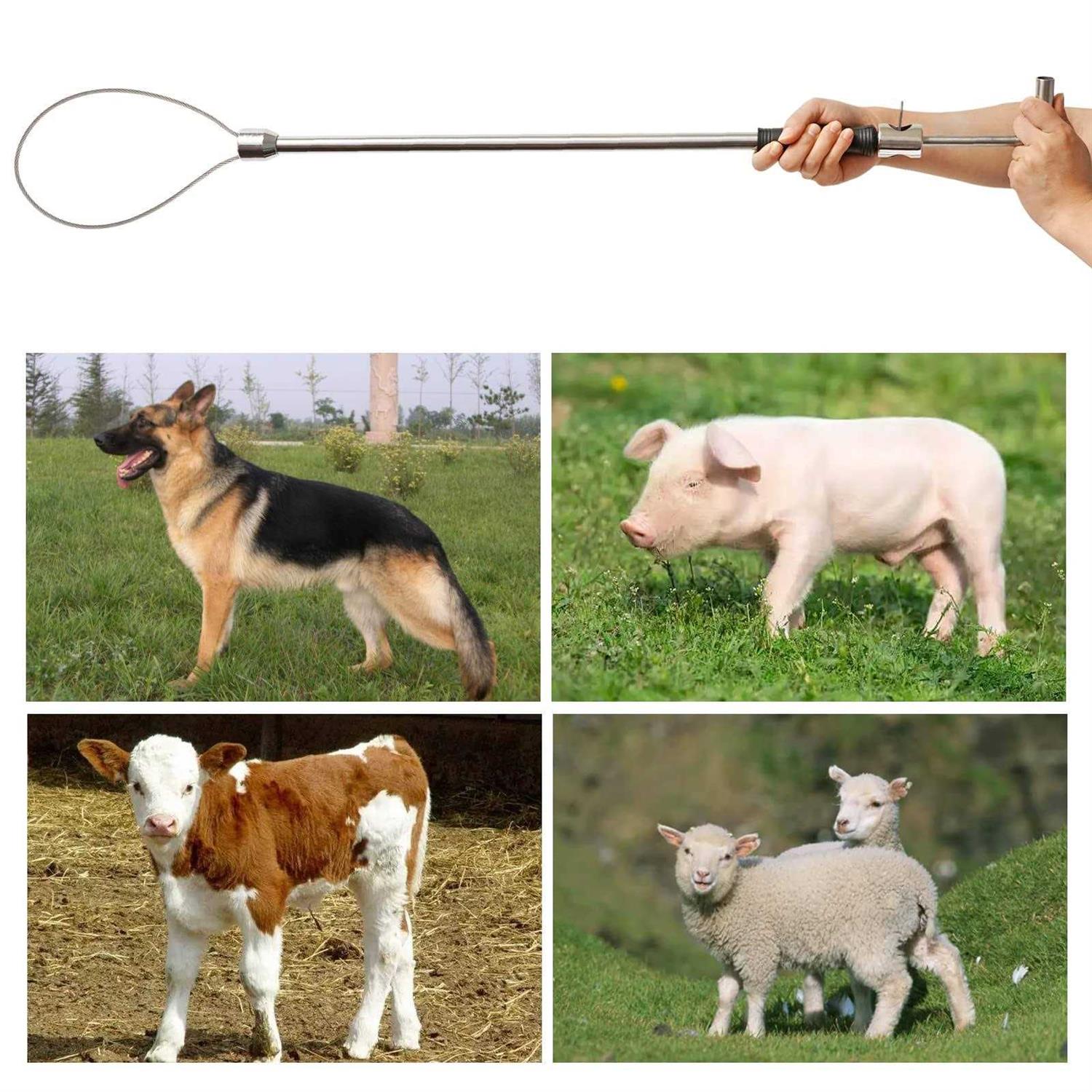PAULOZYN Stainless Steel Hog Pig Catcher Pole Holder Control Tool Heavy Duty for Dog Pig Animals Swine Livestock - Image 3
