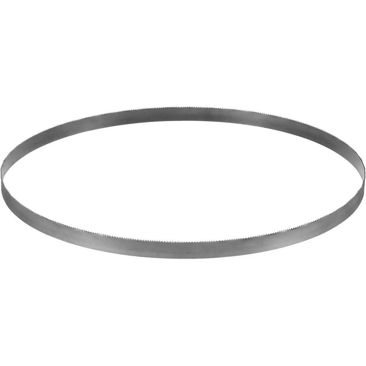 DEWALT DWAPB27183 Bi-Metal Portable Band Saw - Image 4