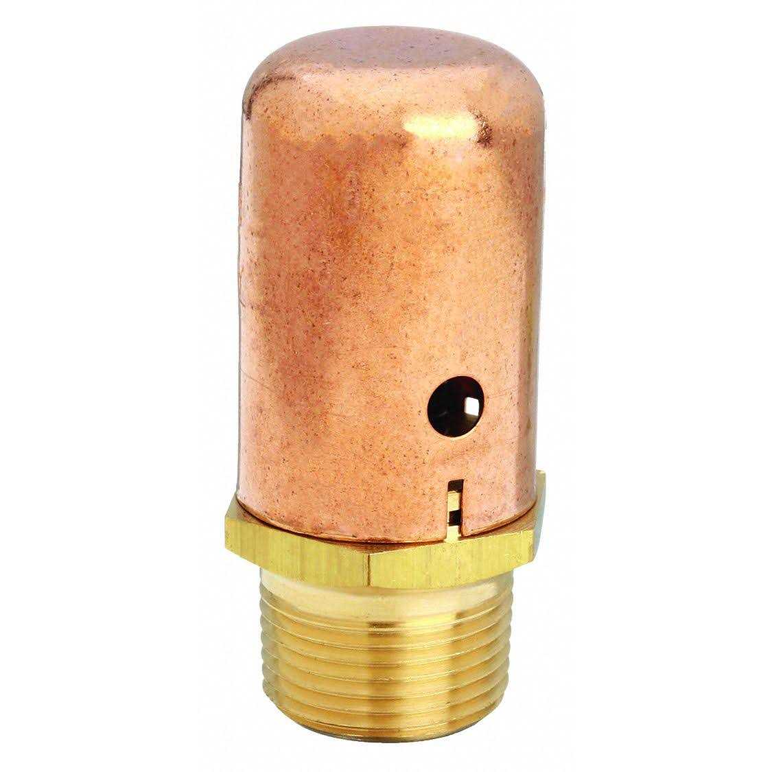 Bell & Gossett Vacuum Breaker,3/4 In,MNPT,Brass,150 psi 62 - Image 2