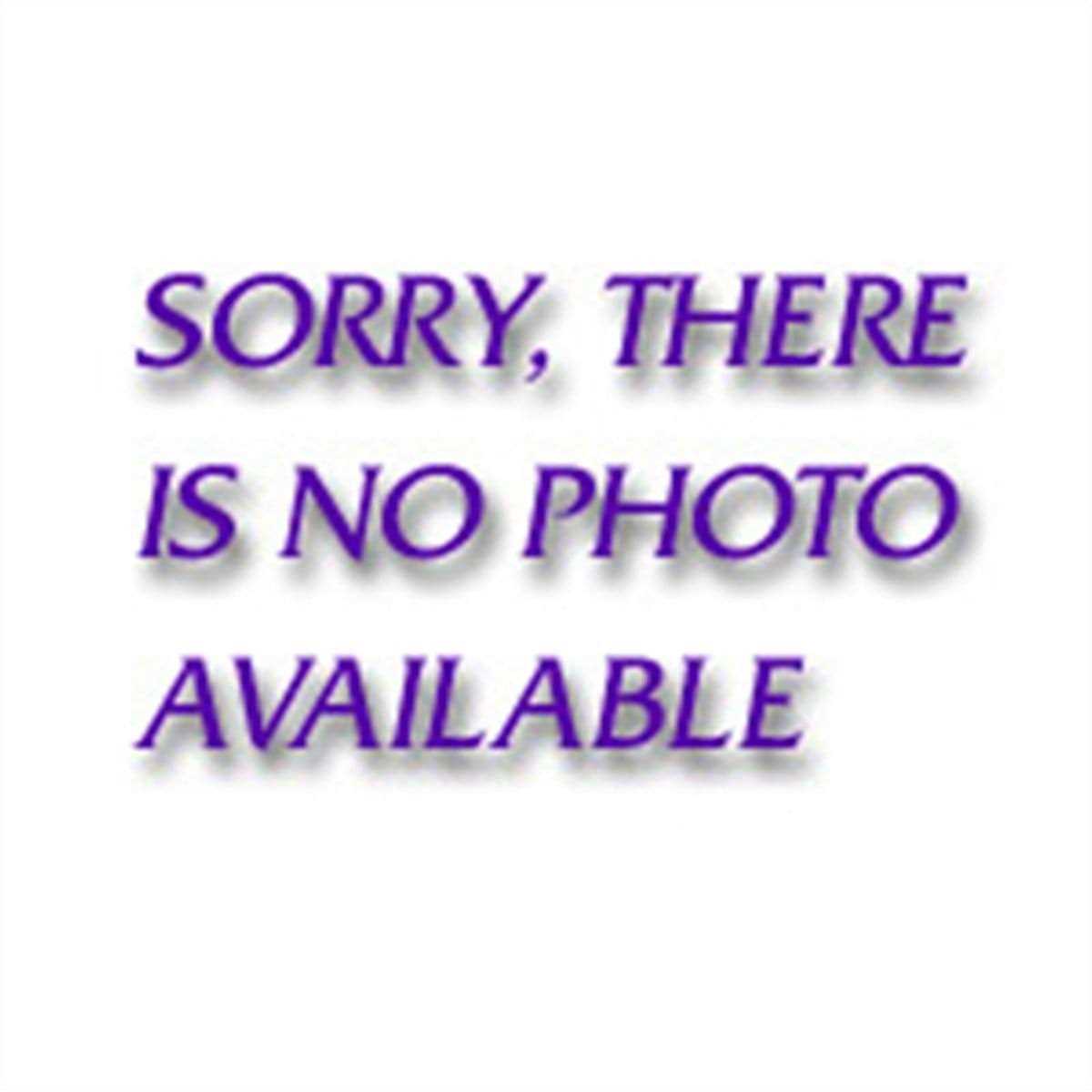 Gearwrench 81339P 1/2 Non-Quick Release Ratchet Repair Kit - Image 3