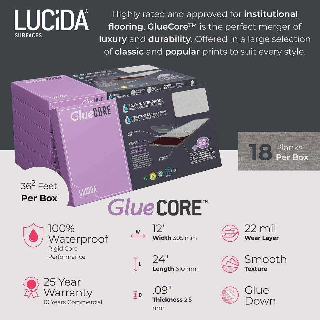Lucida USA Gluecore Riverock 12 in. W x 24 in. L Glue-Down Luxury Vinyl Tile - Image 2