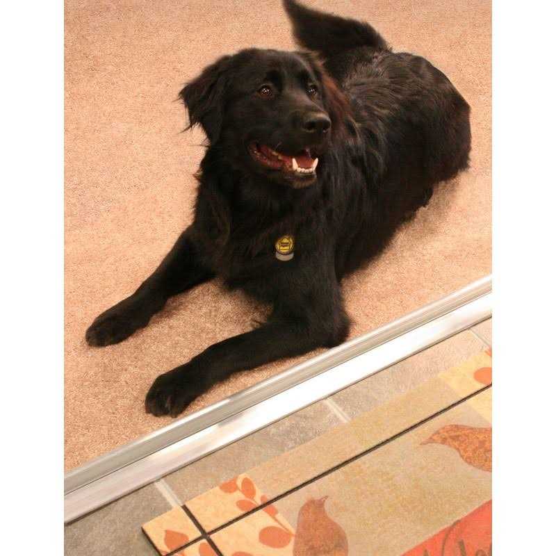 M-D 08102 Low Threshold 36 in L - Image 5