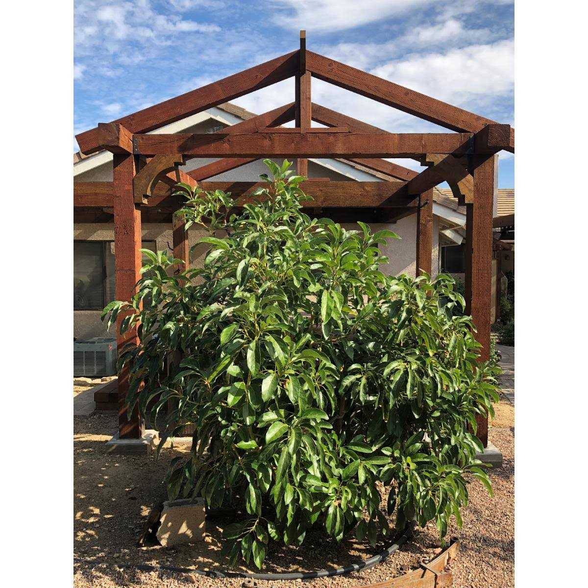 Ekena Millwork Thorton Rough Sawn Brace - Image 4