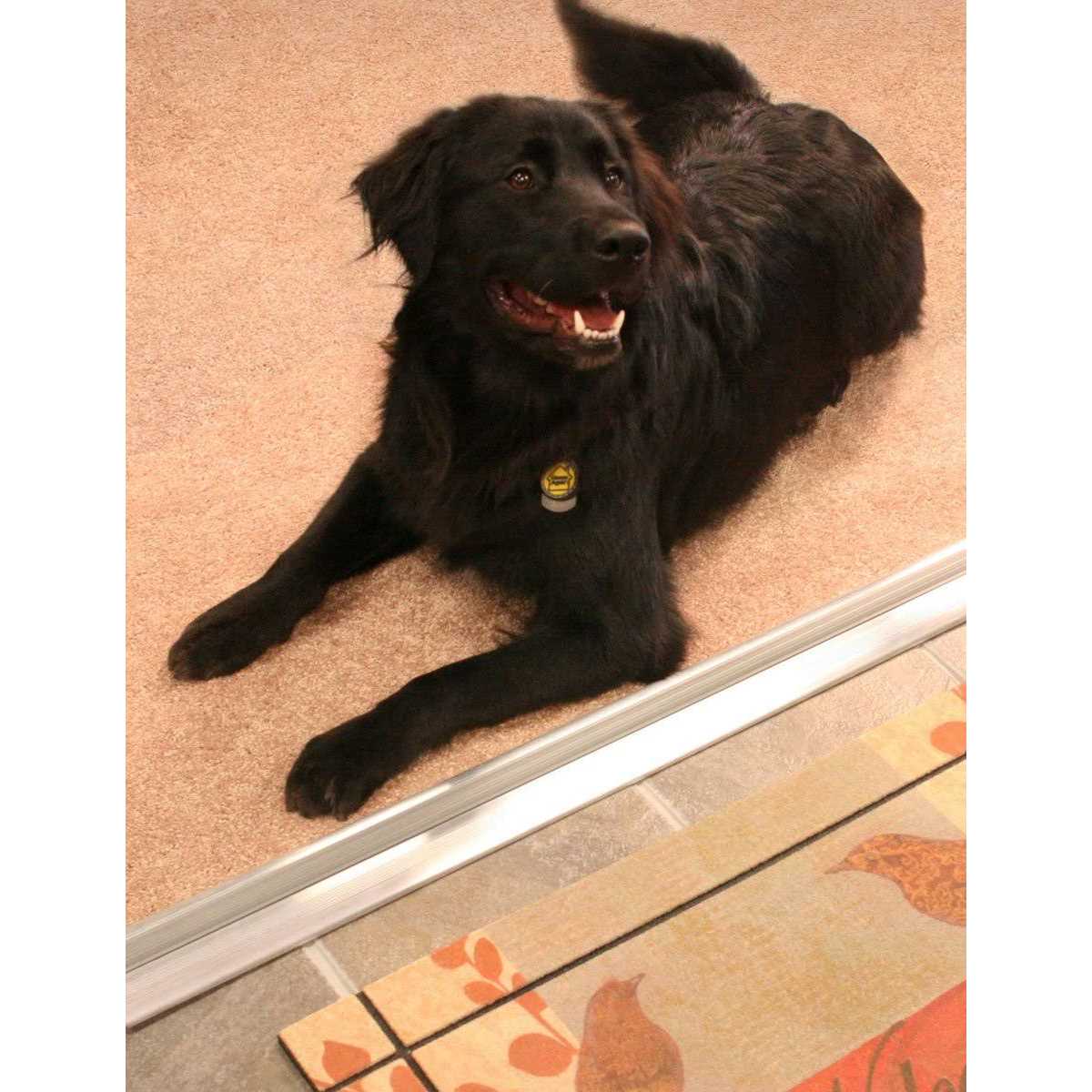 M-D 08086 Low Threshold 32 in L - Image 5