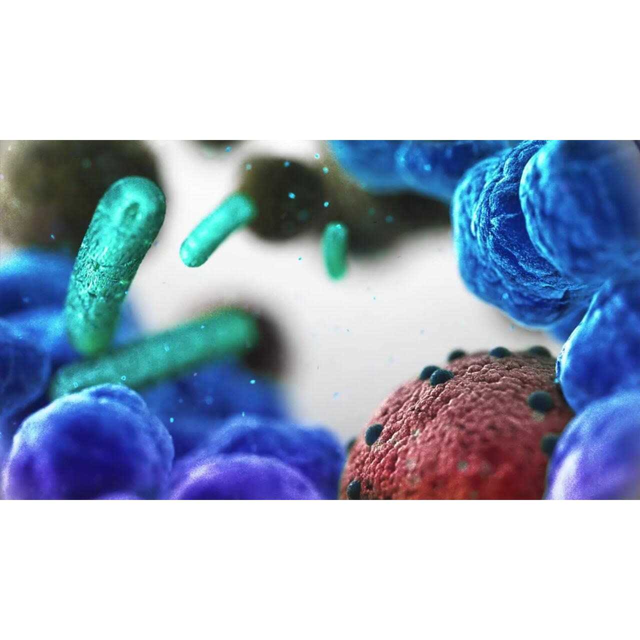 Marazzi EpicClean Milton Matte 13 in. x 11 in. Glazed Ceramic Penny Round Mosaic Tile - Image 4