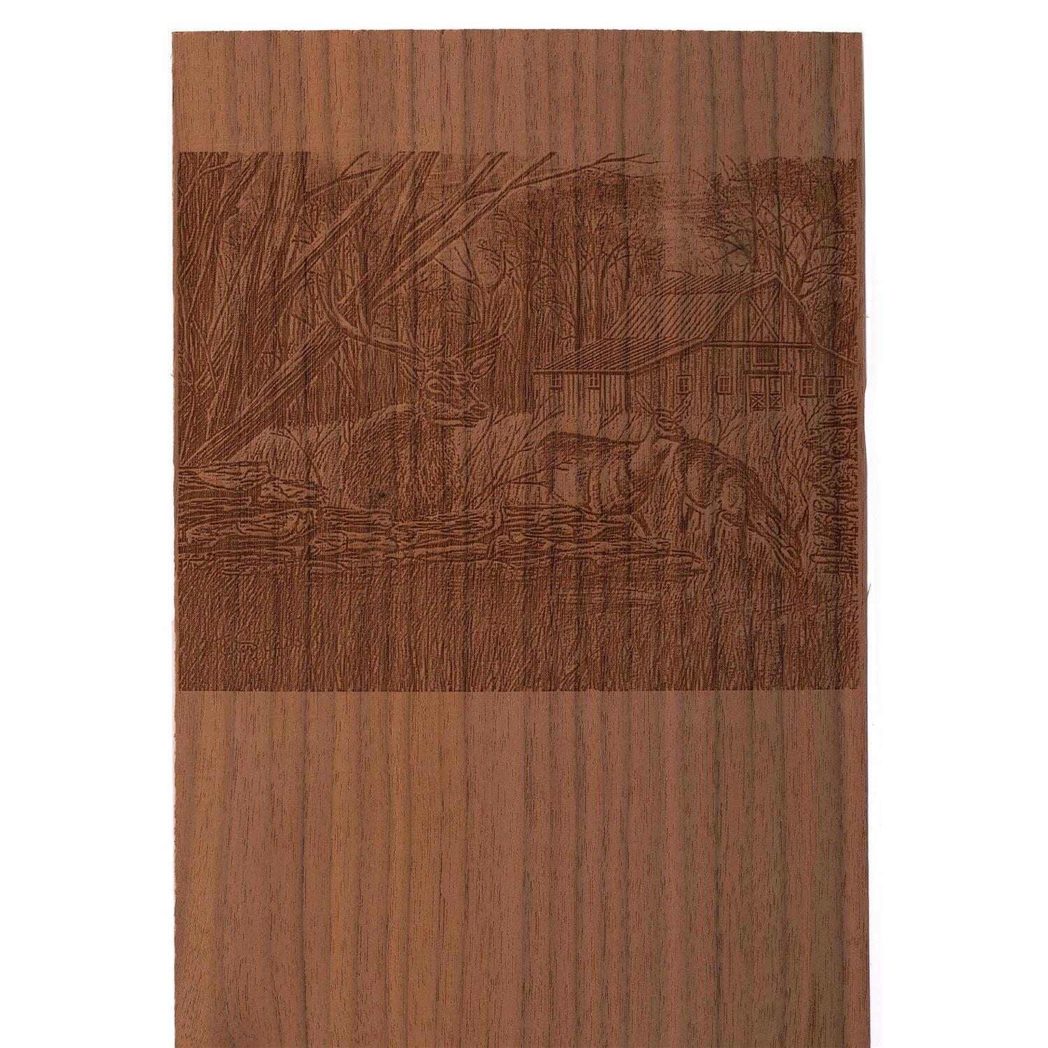 Sauers Maple Veneer 1/16 Thick - Image 4