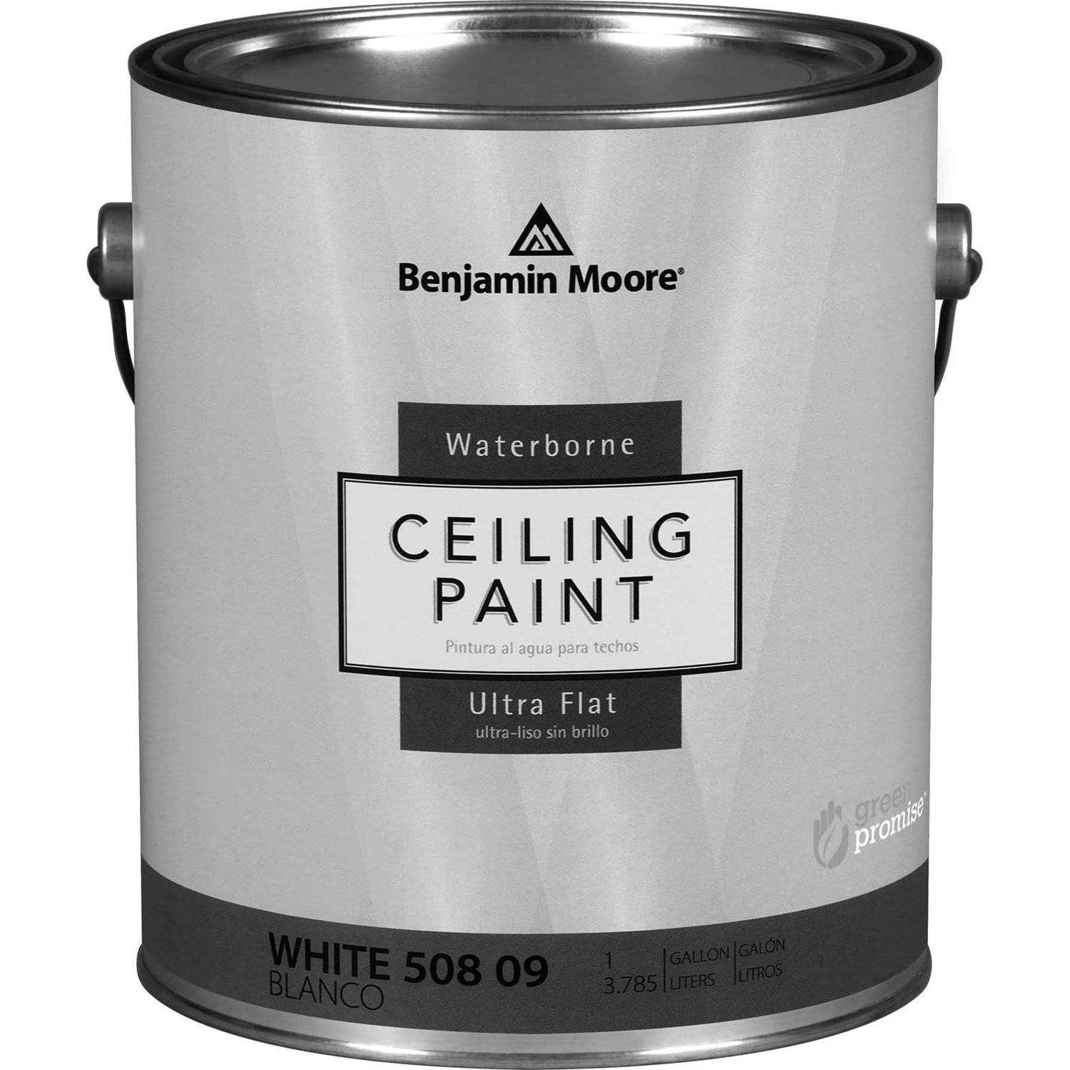 Benjamin Moore Waterborne Ceiling Paint - Image 4