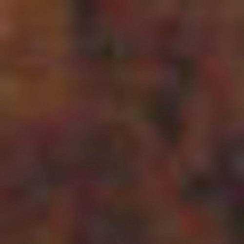 Homestead Transtint Dye - Image 5