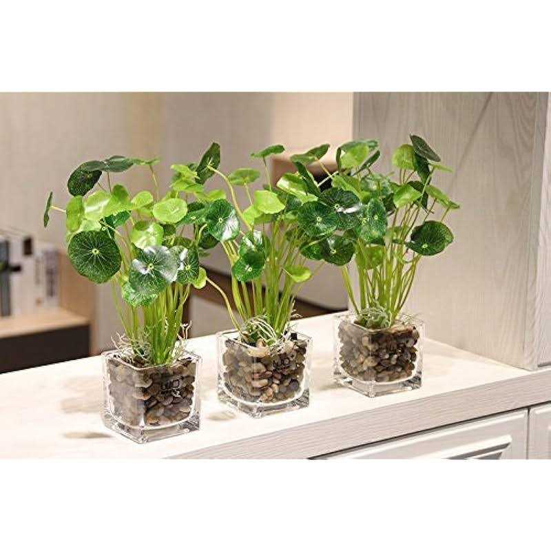 OUPENG Pebbles Polished Gravel Natural Polished Mixed Color Stones - Image 3