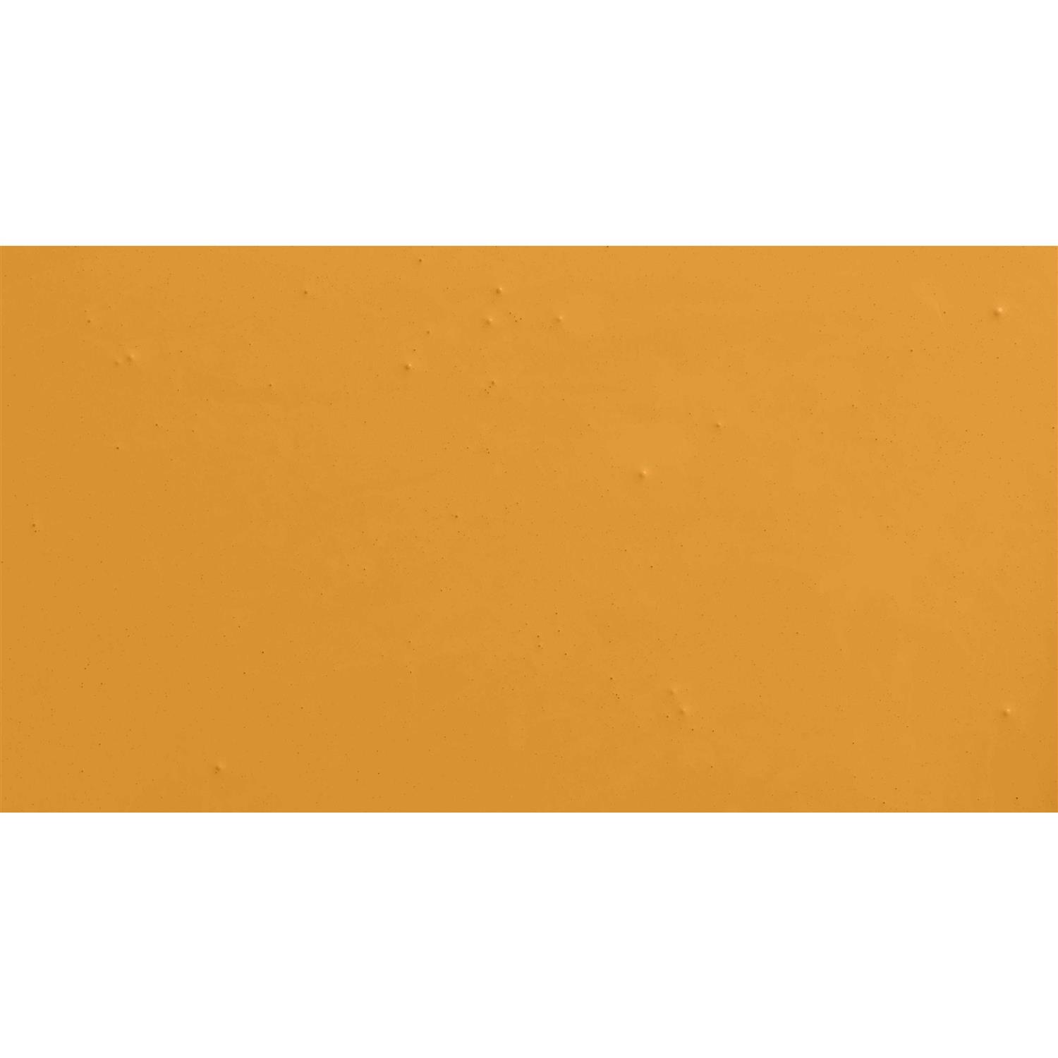 Color of The Year Paint - Image 2