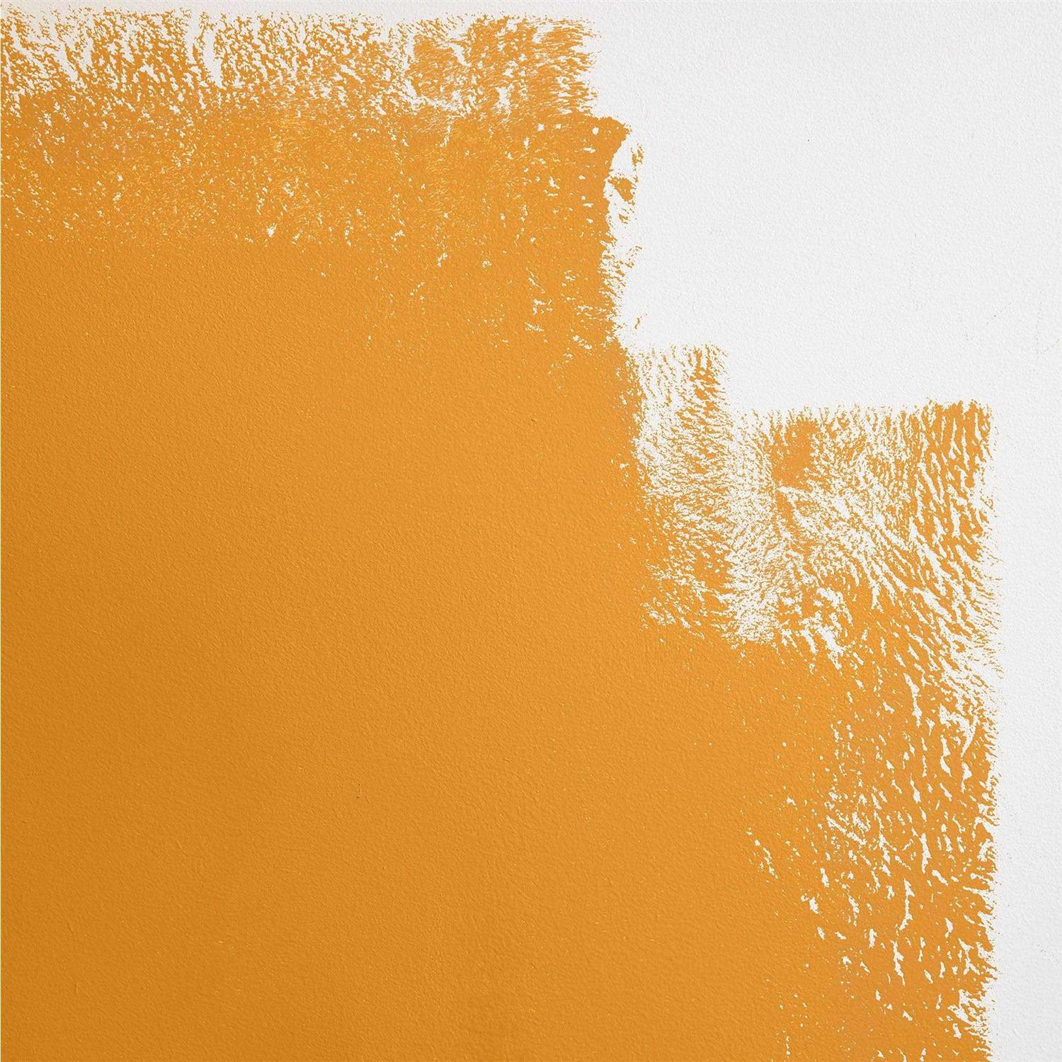 Color of The Year Paint - Image 3