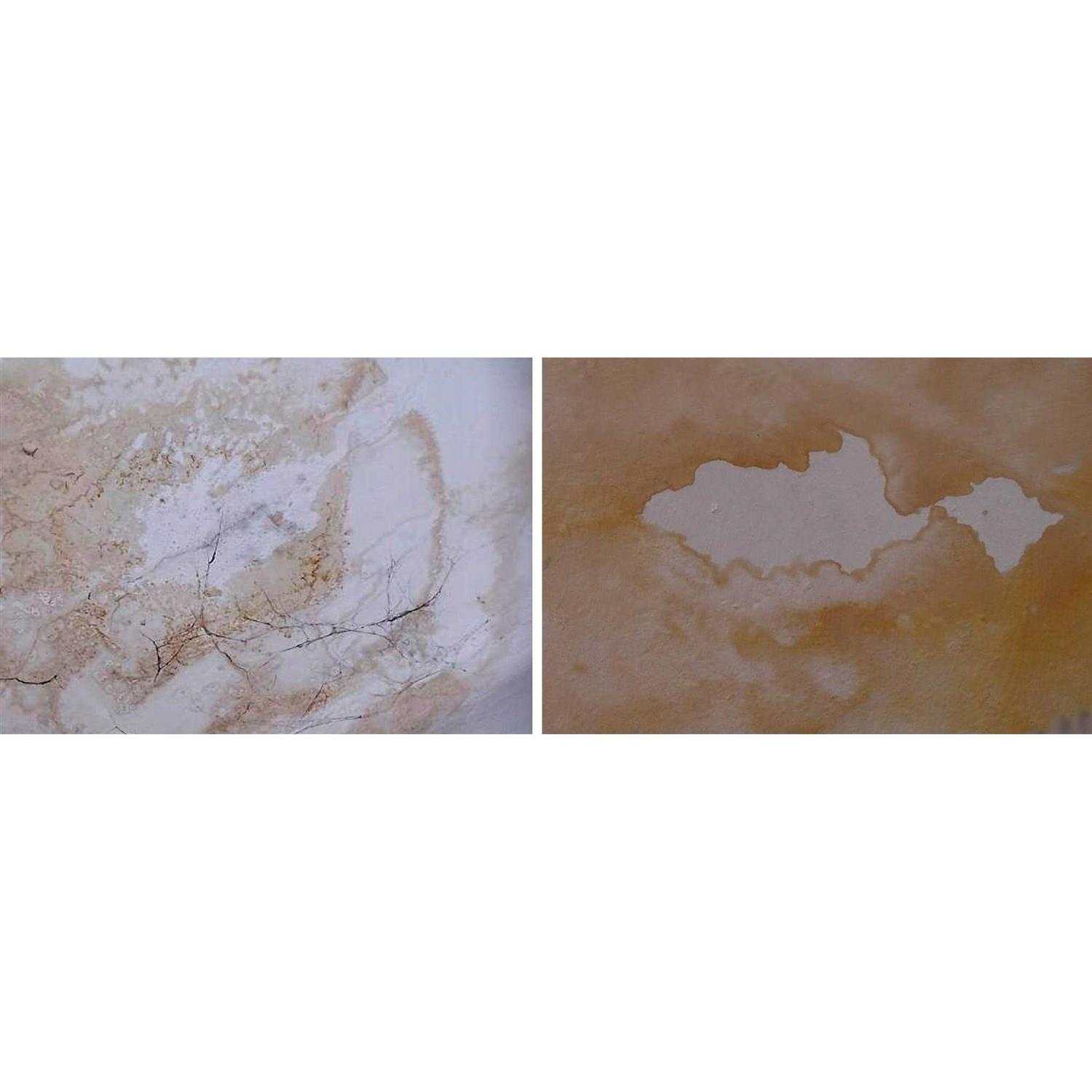 Benjamin Moore Fresh Start High-Hiding All Purpose Primer - Image 5