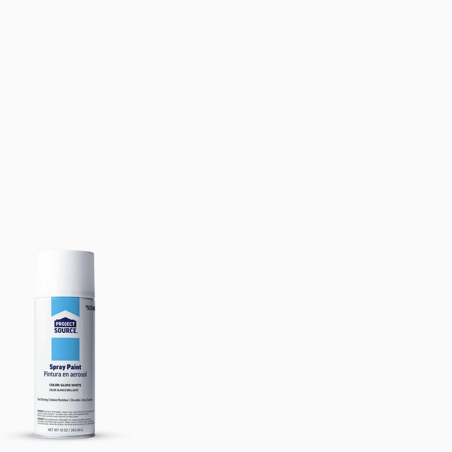 Project Source Gloss White/Gloss Spray Paint Net Wt. 10-oz