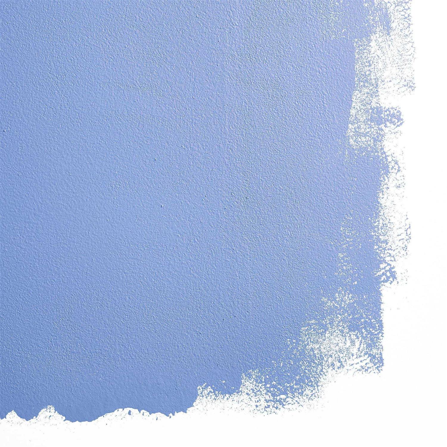 Backdrop Premium Interior Paint Standard Semi Matte Low Sheen Finish - Image 4