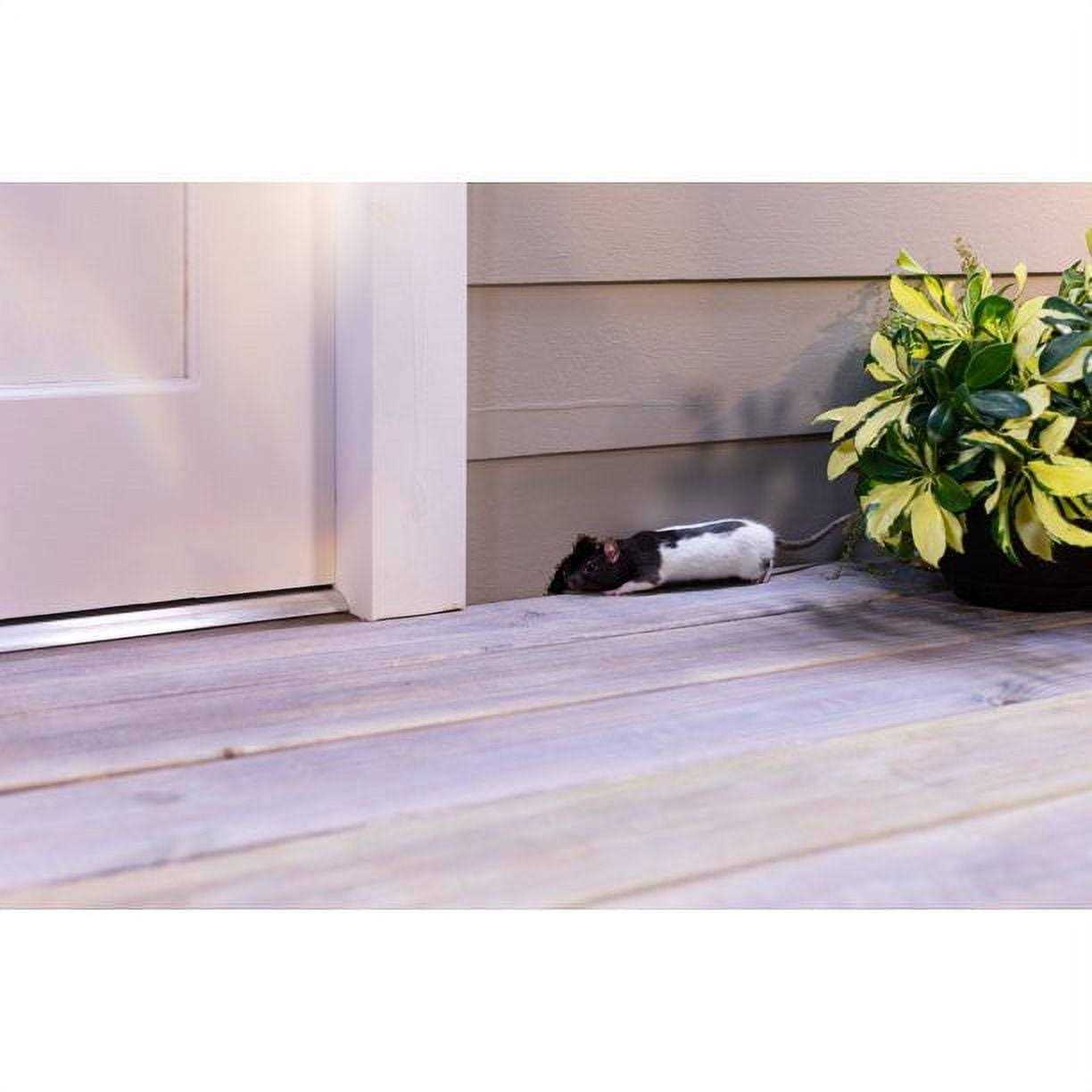 Flex Paste Rubber Paste - Image 2