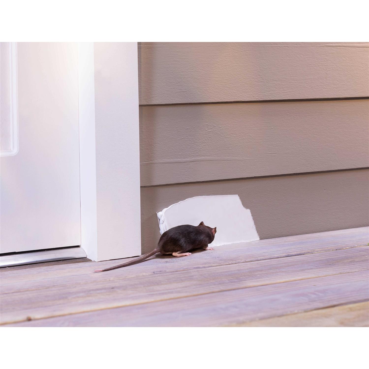 Flex Paste Rubber Paste - Image 3