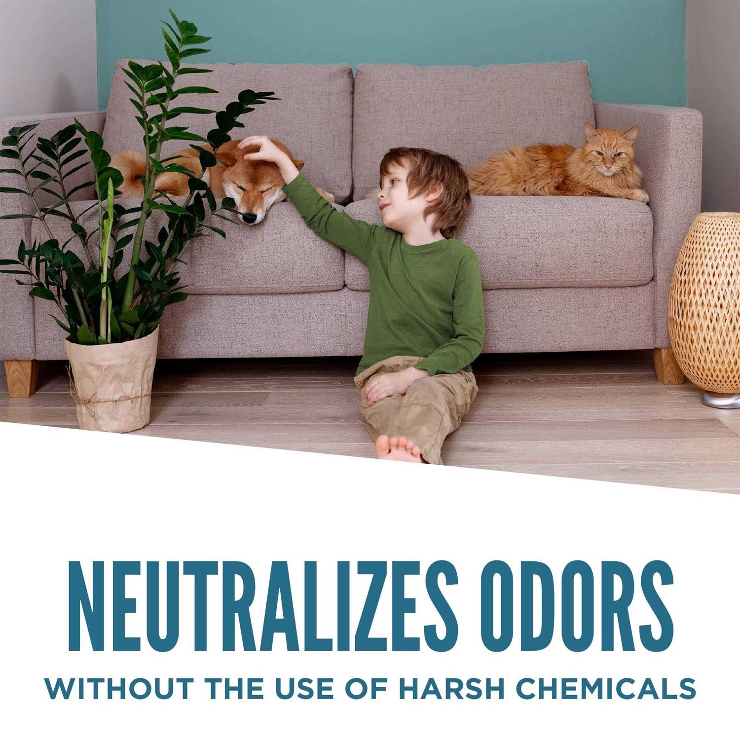 Aunt Fannie's Extra Strength Vinegar - Image 5