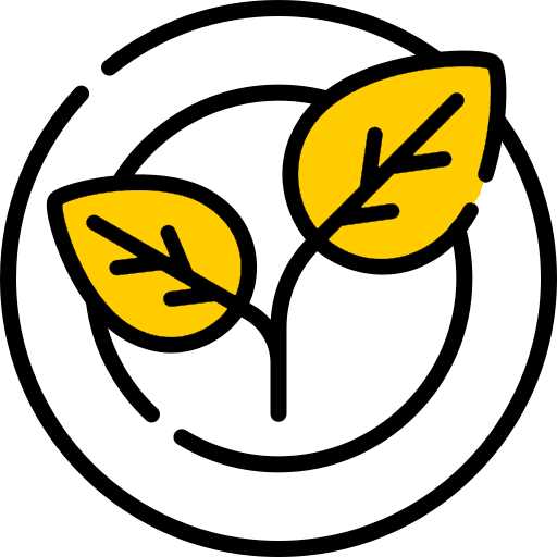 AFM Safecoat Acrylacq - Image 5