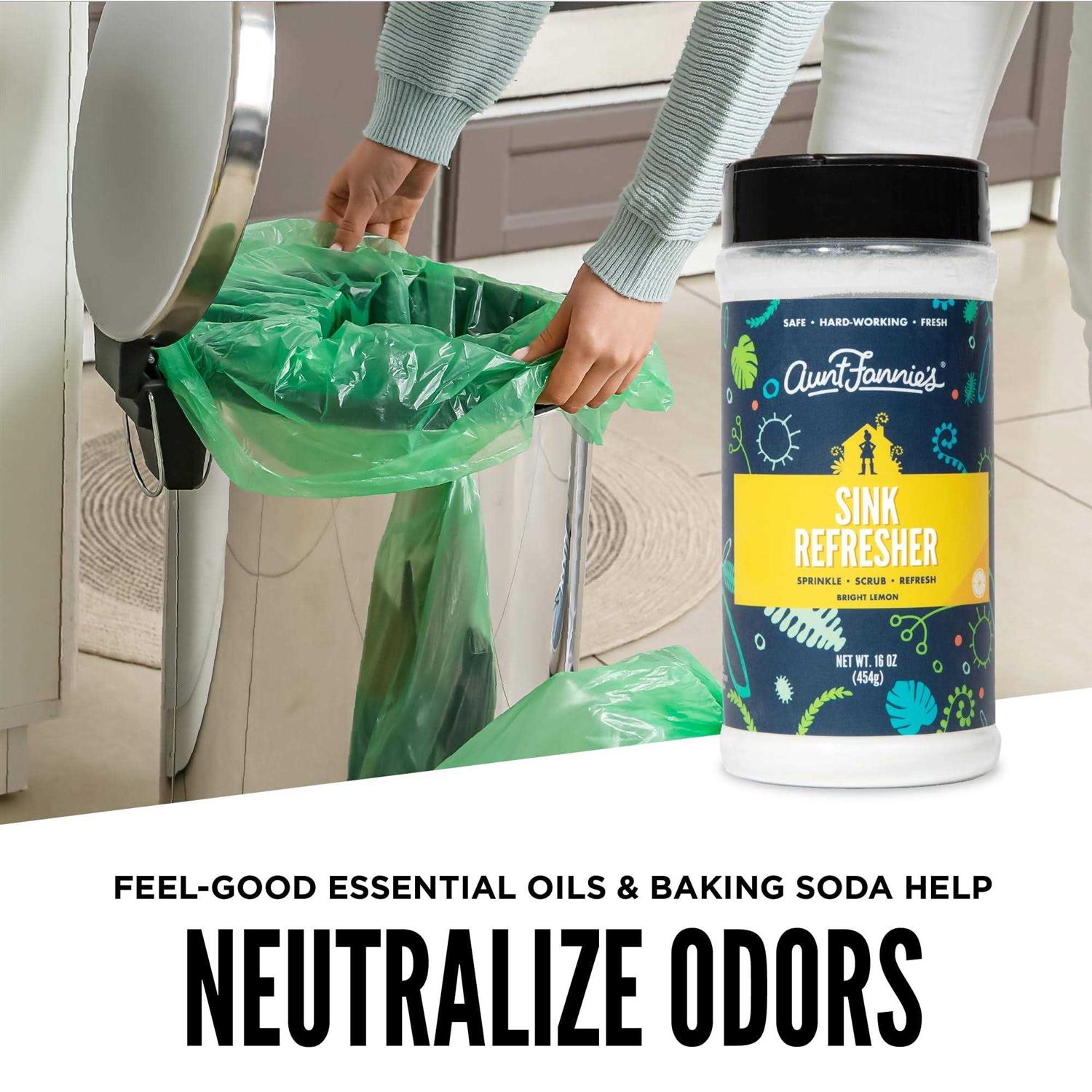 Aunt Fannie's Sink Refresher - Image 5