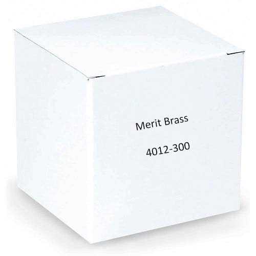 Merit Brass 304 Stainless Steel Pipe Nipple - Image 3