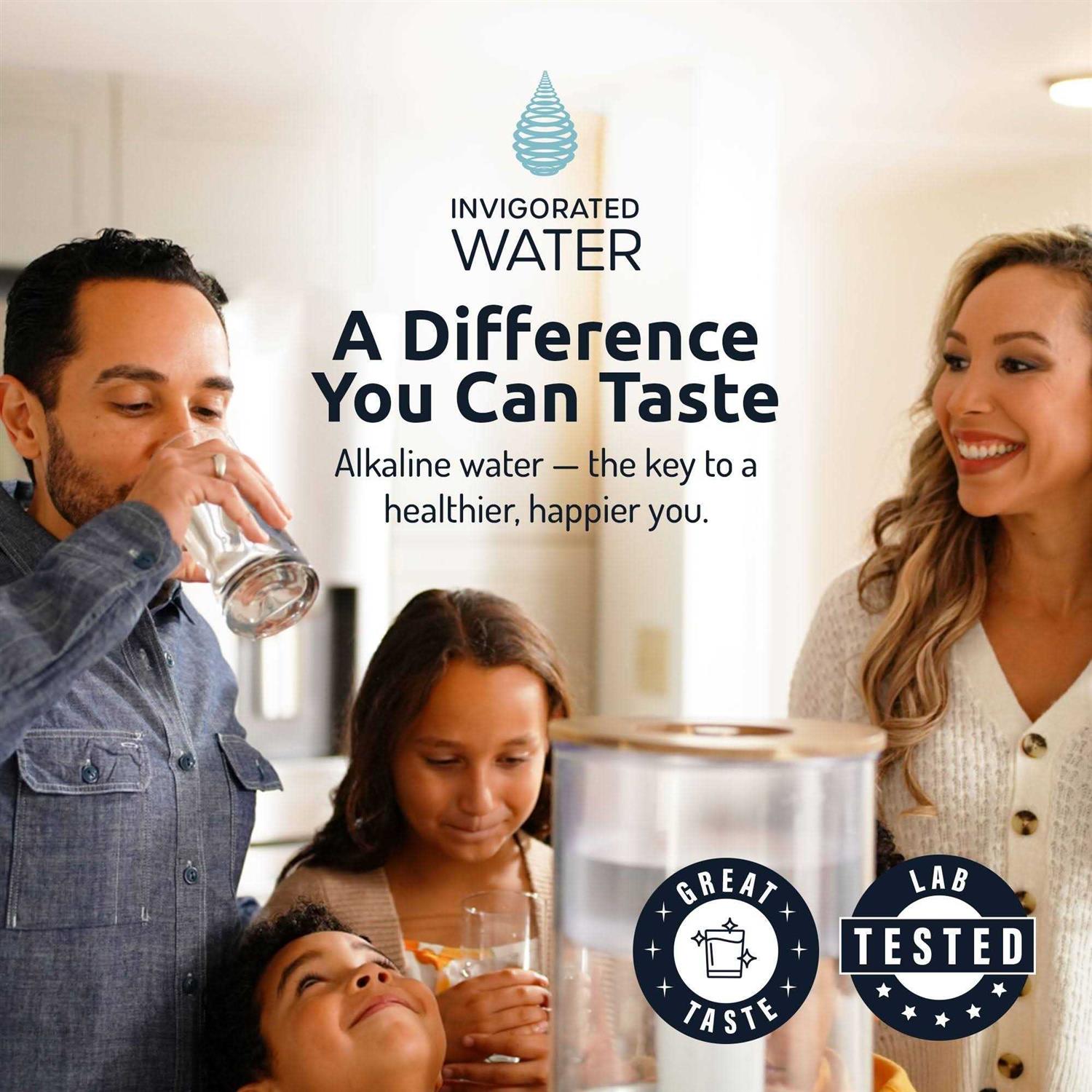 Invigorated Water PH001 Alkaline Water Filter - Image 3