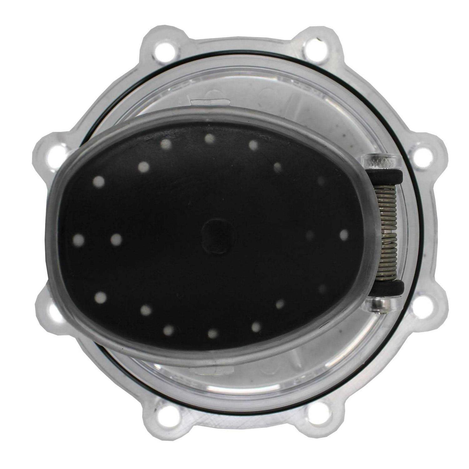 Pentair Check Valve Replacement Kit 263042Z - Image 5