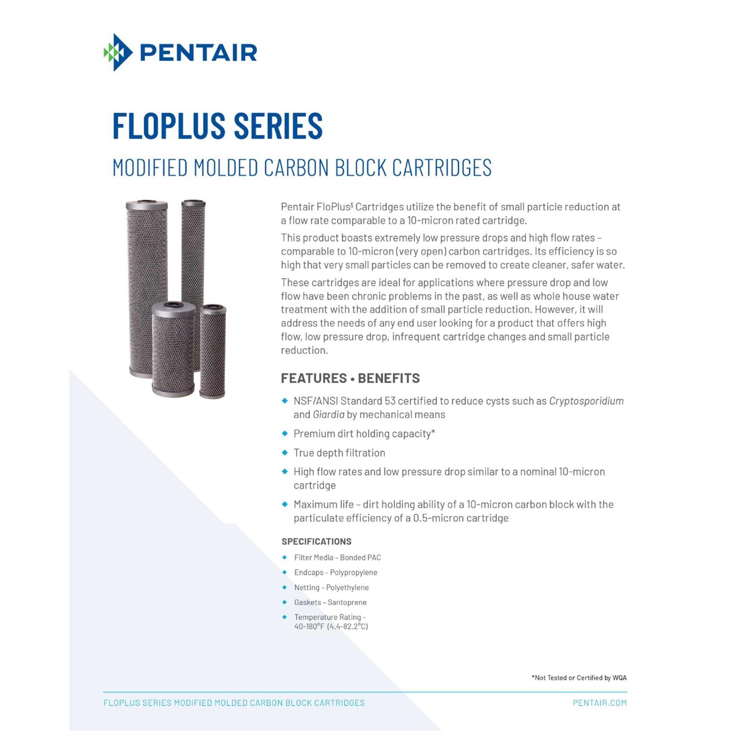 Pentek 455905-43 FloPlus-10BB Carbon Filter - Image 3