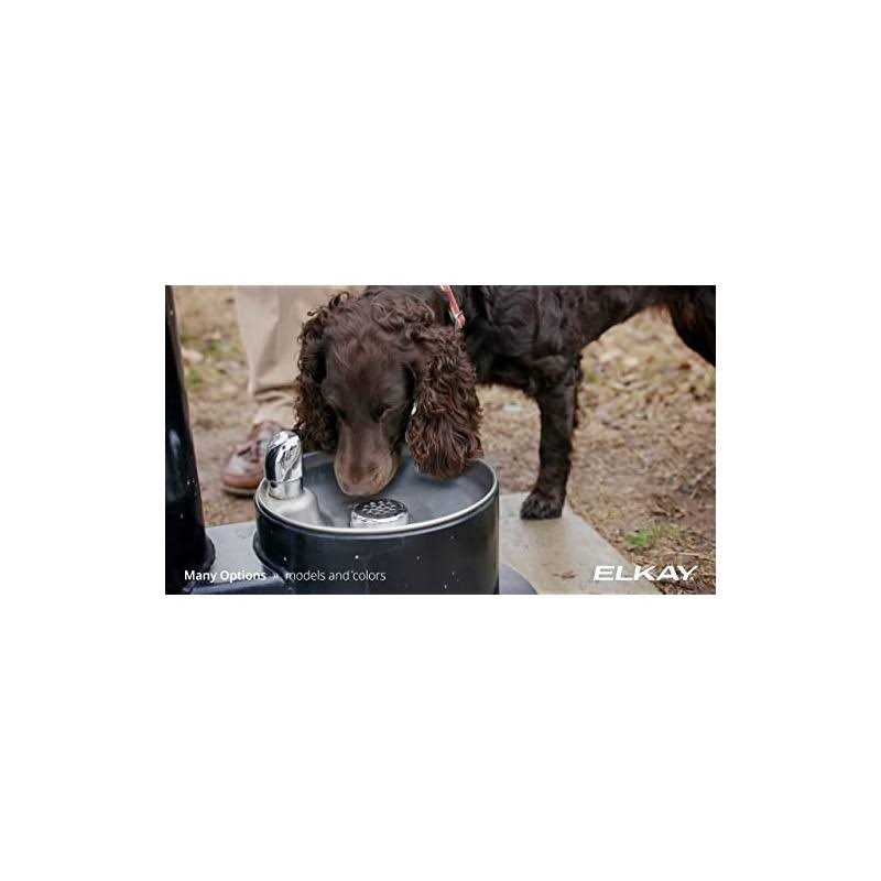 Halsey Taylor WaterSentry Plus Replacement Filter 55898C - Image 5