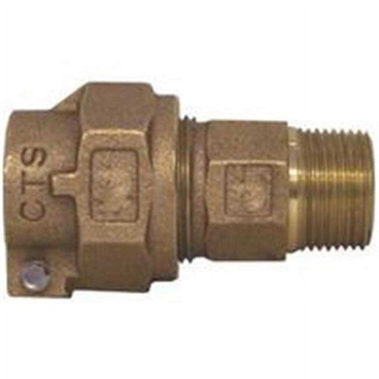 Legend Valve 313-205NL Coupling - Image 3
