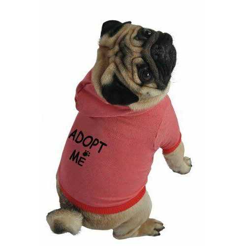 EZ-FLO 1/2 in. IPS Inlet Shower Stall Valves - Image 3