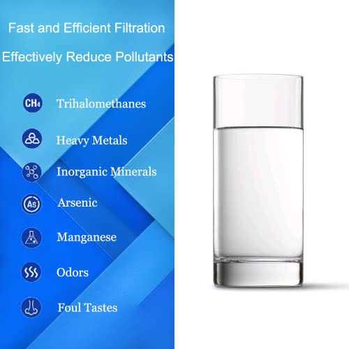 Gunneran water filter replacement for Berkey, 2 carbon filters and 2 fluoride filters compatible with Berkey Gravity water filter System - Image 5
